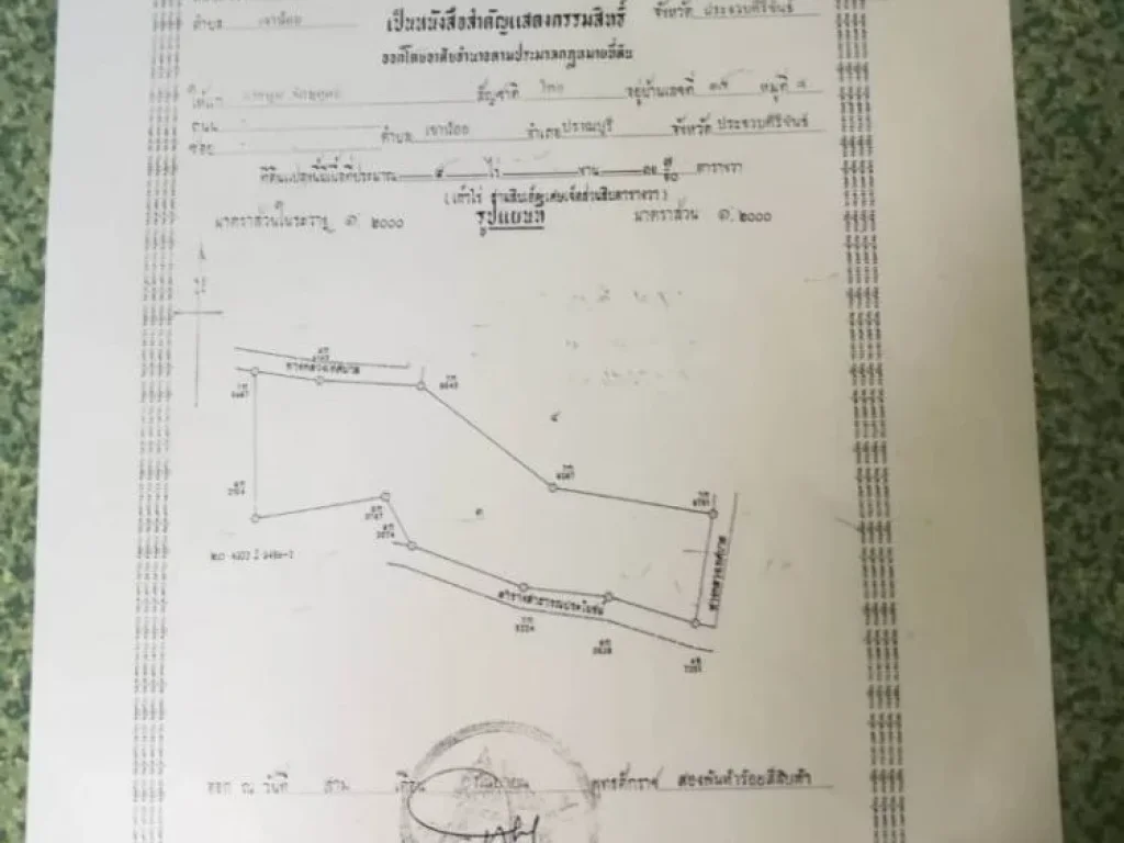 ขายด่วน ที่ดินปราณบุรี 16 ไร่