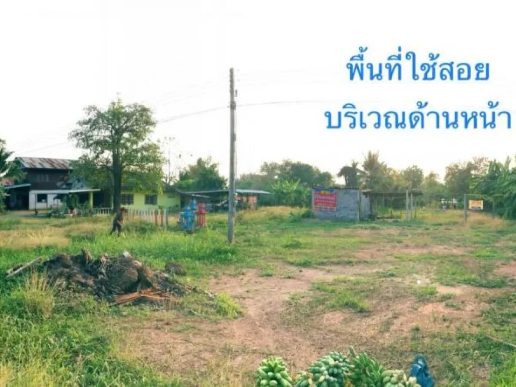 ที่ดิน พร้อมบ้าน และสวนผลไม้