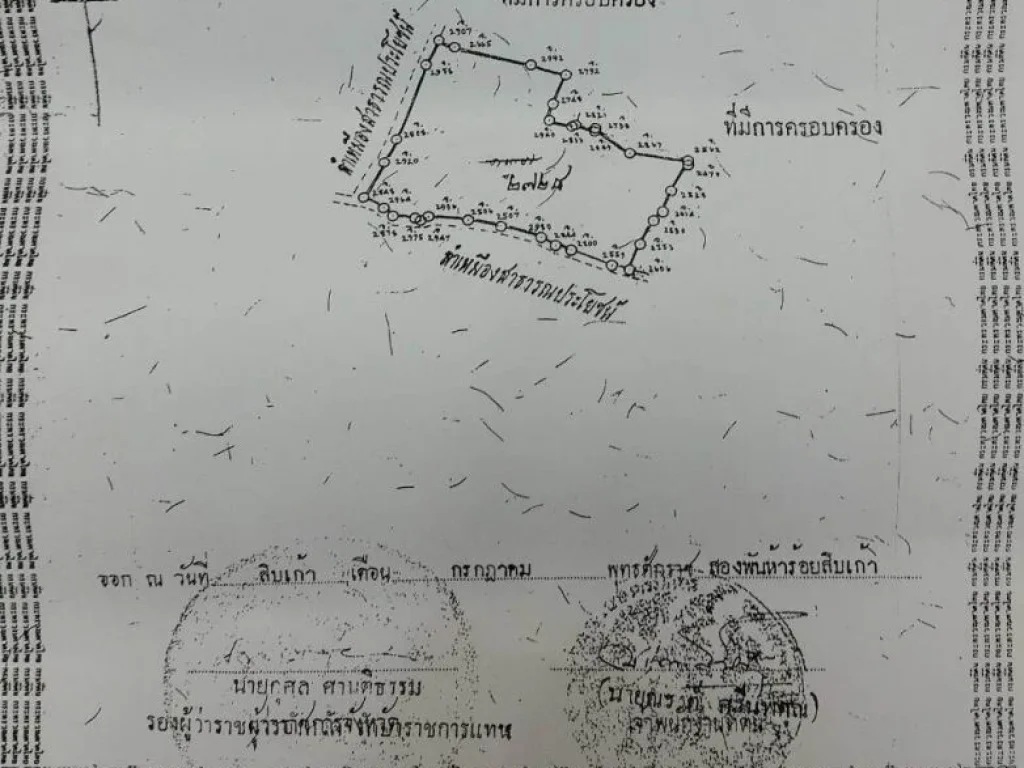 ขายที่ดินบิ๊กซีหางดง