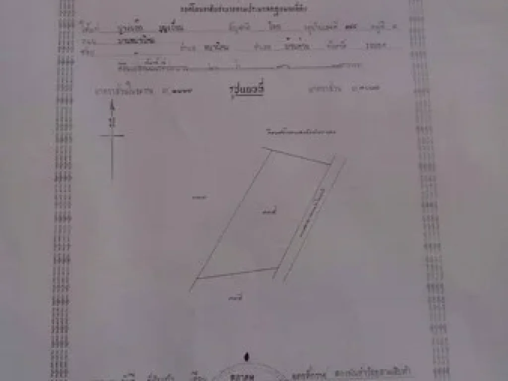 ขายที่ดินเป็นส่วนควบติดกัน3แปลงเนื้อที่ประมาณ40ไร่ จังหวัดระยอง