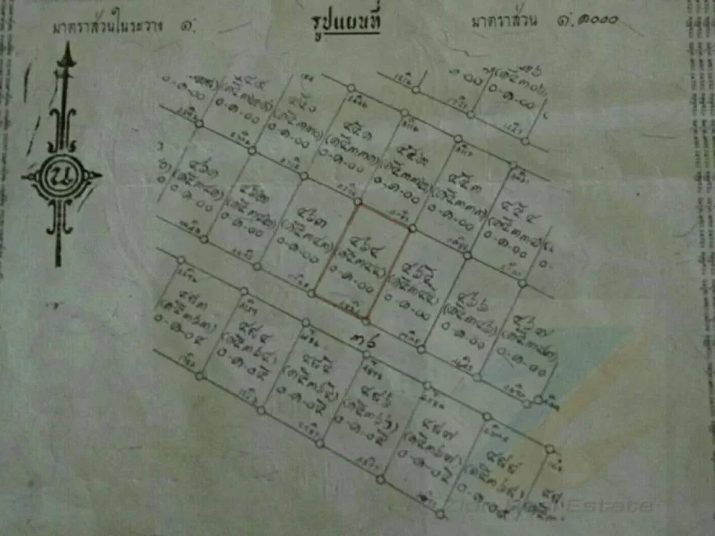 ขายด่วนที่ดินเปล่า 100 ตรว ซศรีด่าน 22