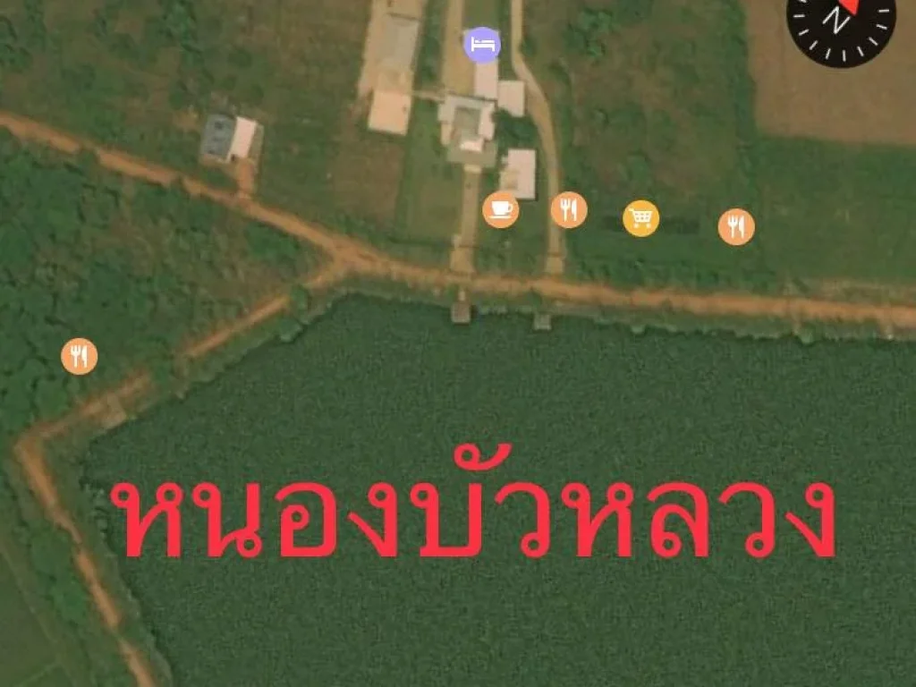 บ้านพัก รีสอร์ท แหล่งท่องเที่ยว หนองบัว อ เชียงแสน จ เชียงราย