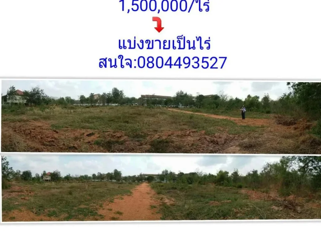 ขายที่ดิน ทำเลดี ที่ชัยภูมิ ทำเลทอง ถมแล้ว แบ่งขาย ที่จังหวัดชัยภูมิ