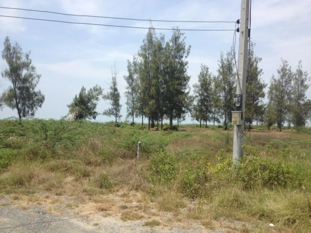 เช่าที่ดินติดทะเลกุยบุรี ประจวบคีรีขันธ์ กม ที่ 275 เนื้อที่ 536 ตรว Rental 1acre beachfront land at Kuiburi Prajuobkeereekhun province 275km far