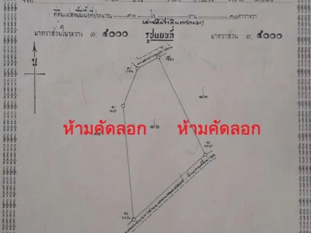 ขายที่ดิน 30 ไร่ ฺติดถนนลาดยาง 200 เมตร