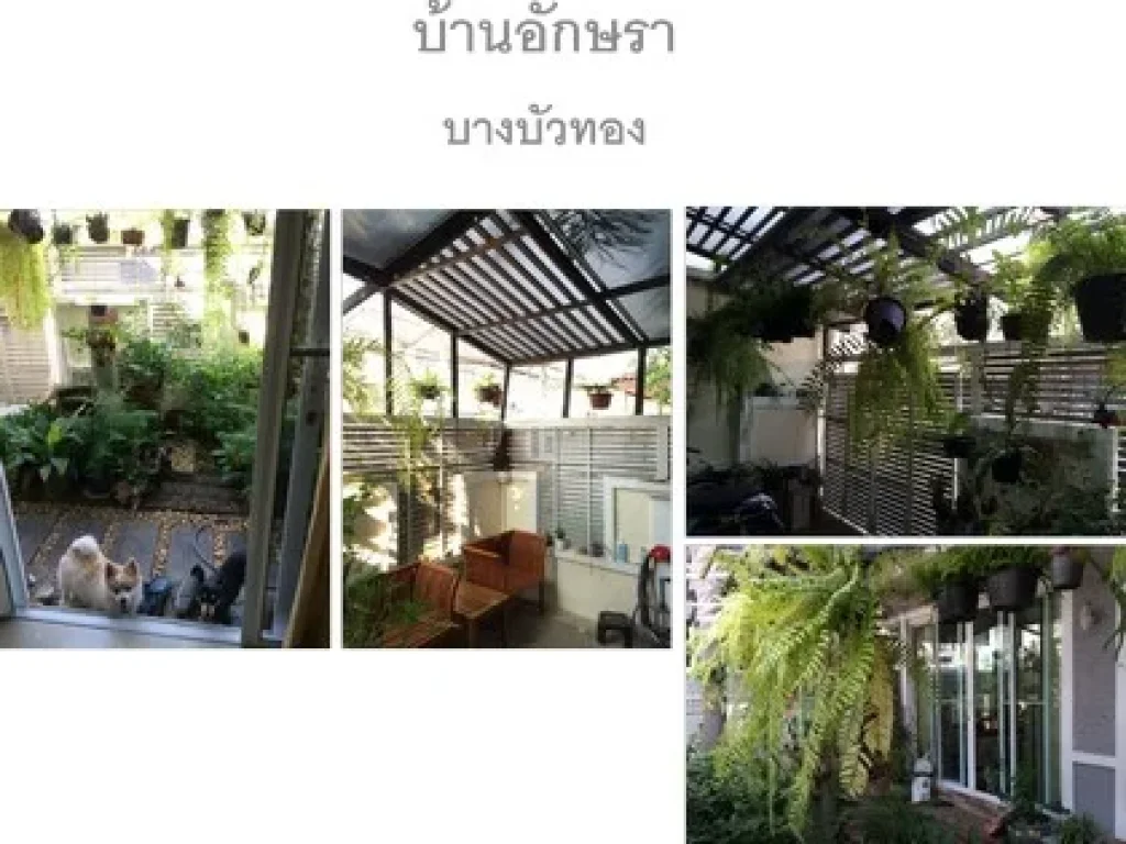 ขายบ้านอักษรา บางบัวทอง บ้านพื้นที่ 298 ตรว ต่อเติมครบพร้อมตกแต่ง