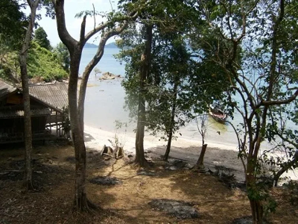 ขายที่ดินติดชายหาด หาดทรายดำ ตหงาว อเมือง จระนอง เหมาะกับการทำโฮมสเตย์รีสอร์ท