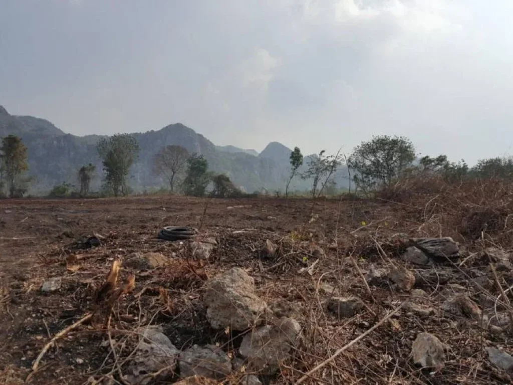 ขายที่ดิน 6 แปลง มีโฉนด อำเภอพระพุทธบาทจังหวัดสระบุรี ขายแปลงที่1 เนื้อที่ 361 ตรว ราคา 950000บาท ขายแปลงที่2 เนื้อที่ 361 ตรว ราคา 870000บา