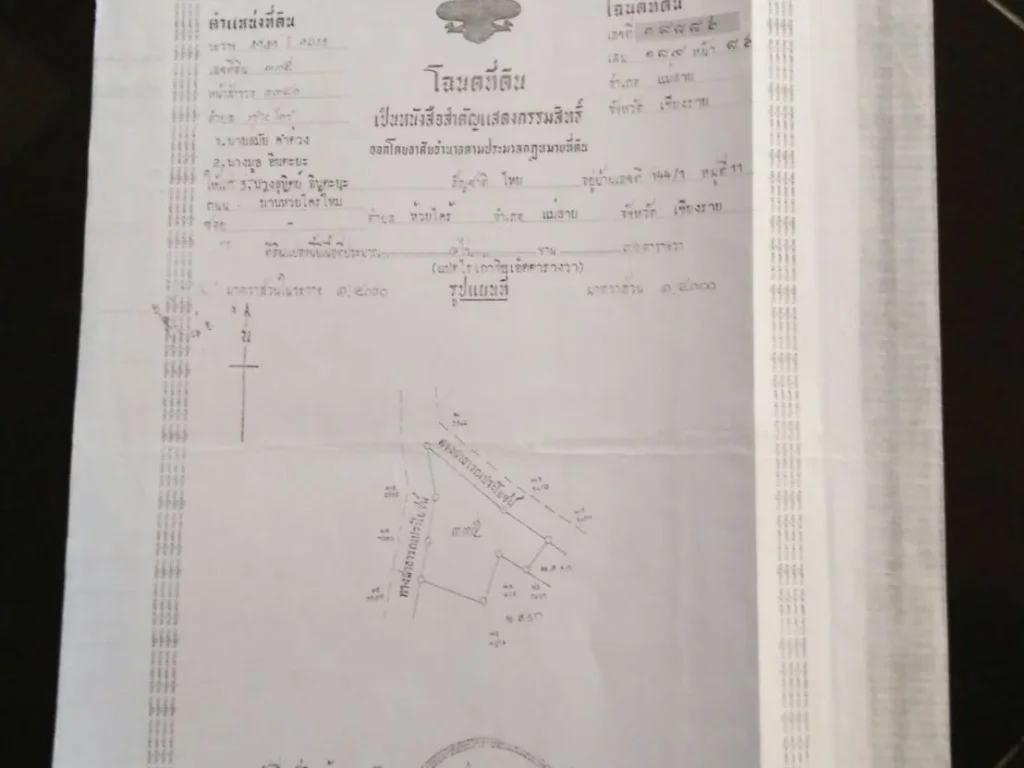 ขายรีสอร์ท ร้านอาหาร บ้านพร้อมที่ดิน อแม่สาย จเชียงราย 8 ไร่ ทางชึ้นดอยตุงสายเก่า ด้านถนนพหลโยธิน