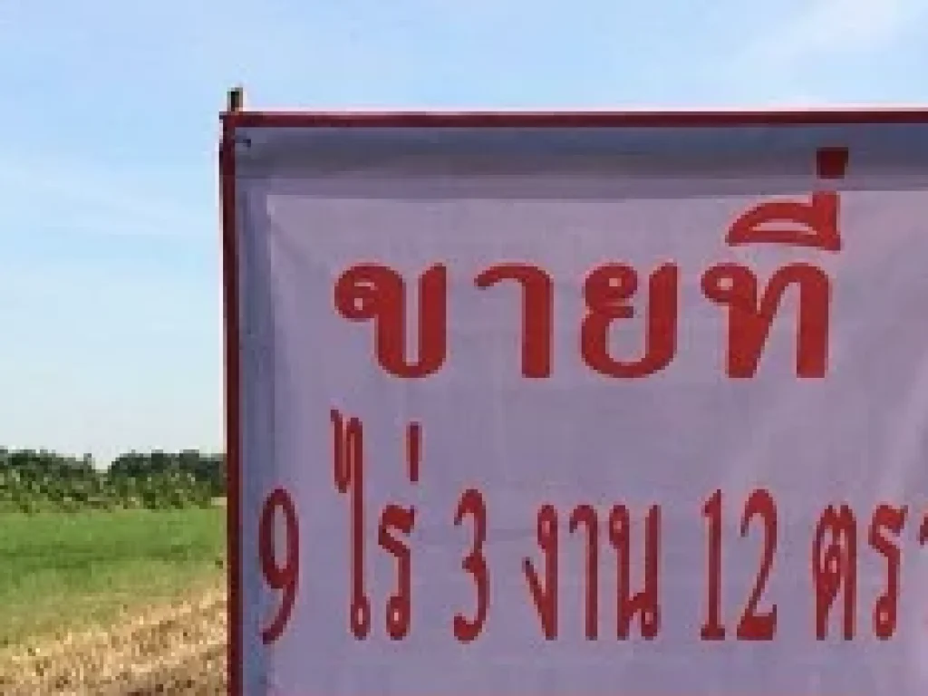 ขายที่ดินเมืองปทุมธานี จปทุมธานี 9-3-12 ไร่ เหมาะสำหรับทำบ้านจัดสรร