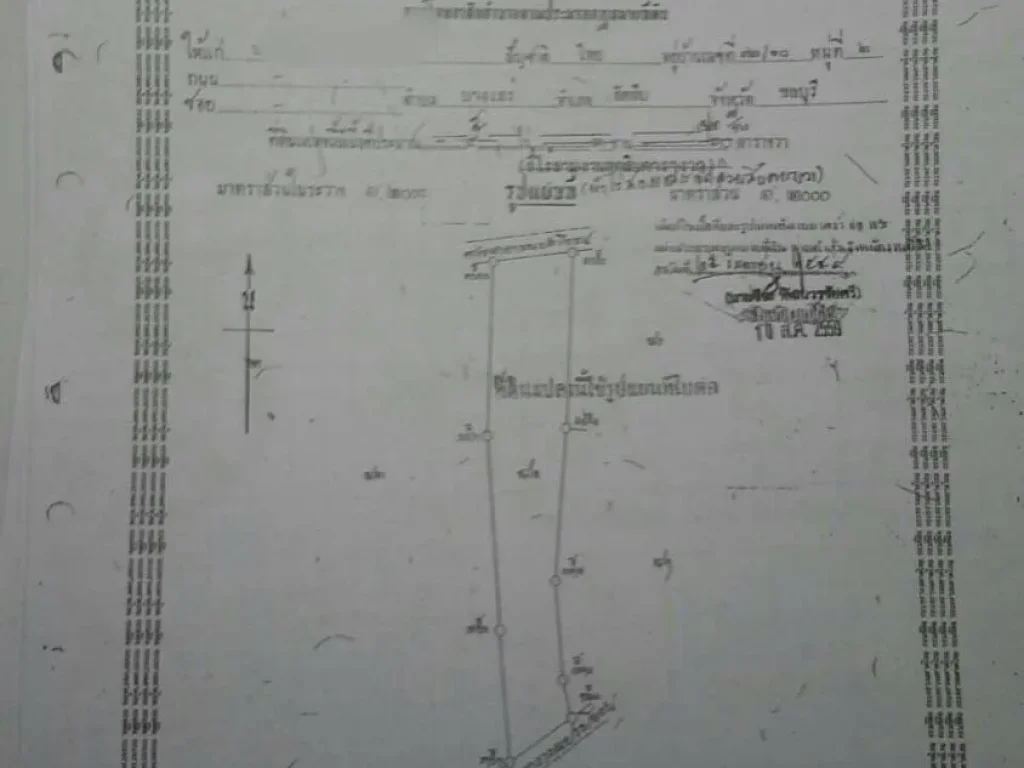 ขายด่วน 20ไร่ ด้านหลังหมู่บ้านบาลีน่า3 ห้วยใหญ่พัทยา เหมาะสำหรับทำบ้านจัดสรร