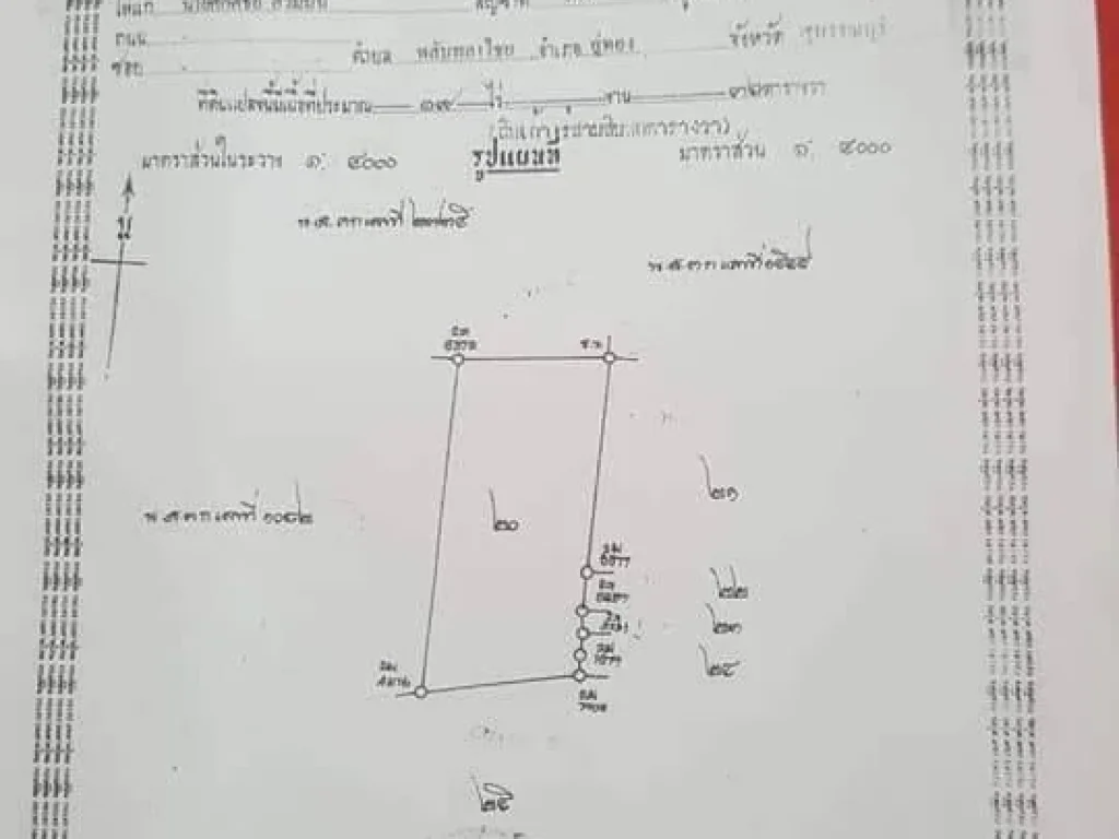 ขายที่ดินโฉนด2 แปลง ติดกัน ขายควบทั้ง 2 แปลง รวม 25 ไร่ อยู่ติดถนนสายอู่ทอง-รางพยอม ตพลับพลาไชย จสุพรรณบุรี