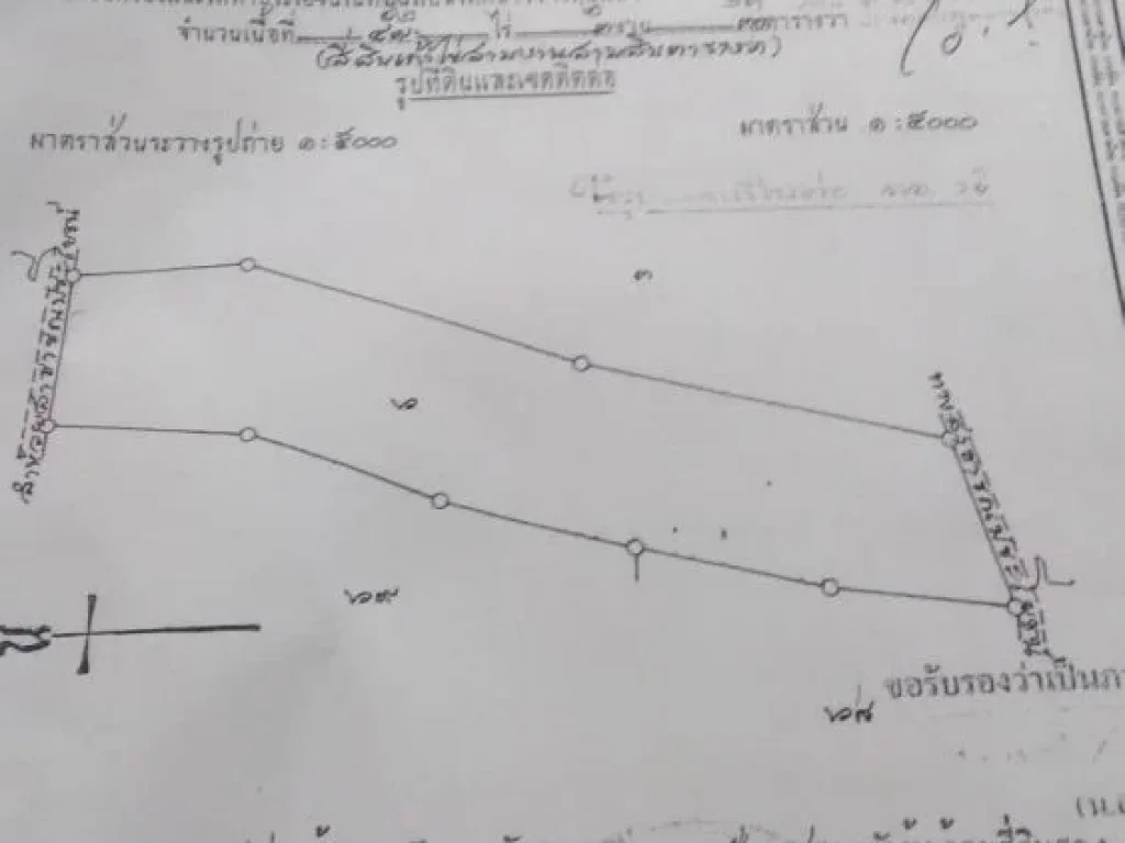 ขายที่ดินพร้อมสวนยางพารา พื้นที่ 52 ไร่ 2งาน