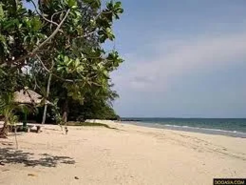 ขายที่ดินติดทะเล ติดชายหาดส่วนตัว 6 ไร่ เดินลงทะเลได้เลย