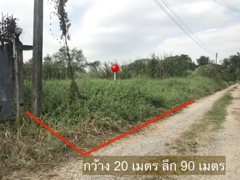 ที่ดิน ซอยเทศบาล3 ลำลูกกา คลอง7 ปทุมธานี 1ไร่73 ตรว