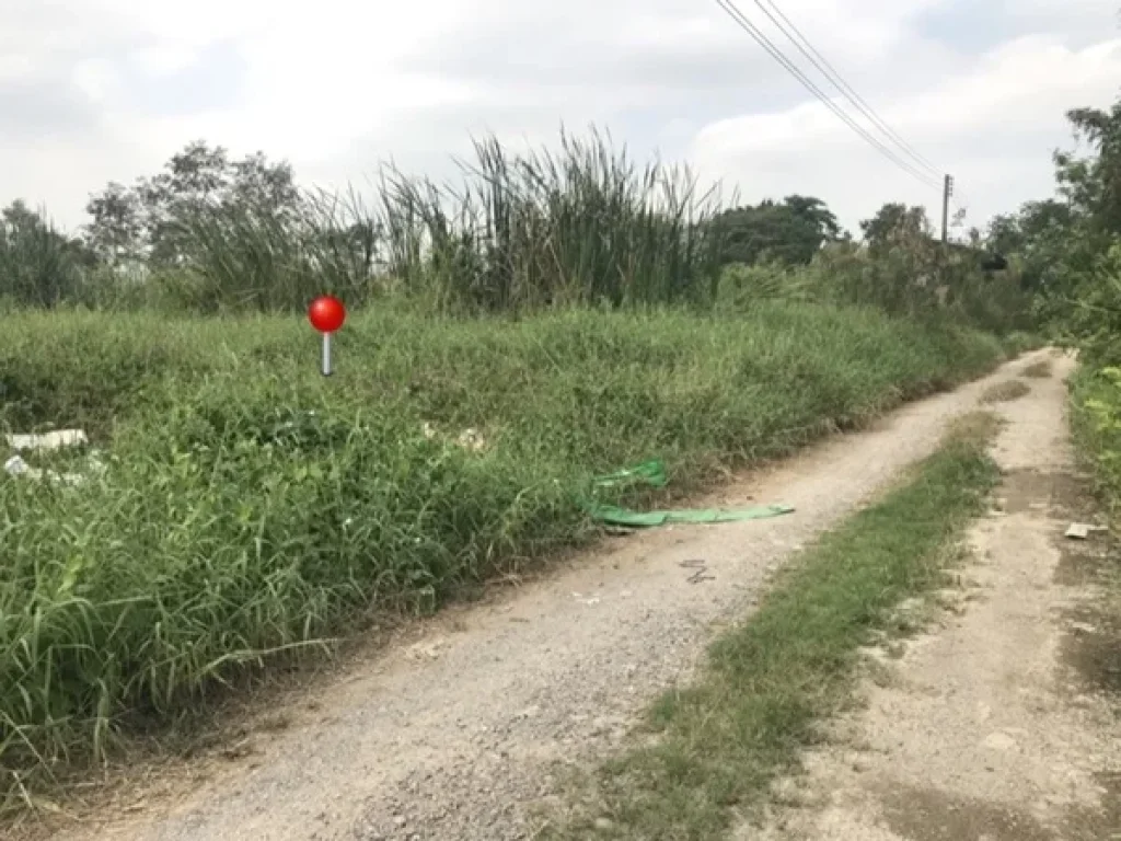 ที่ดิน ซอยเทศบาล3 ลำลูกกา คลอง7 ปทุมธานี 1ไร่73 ตรว