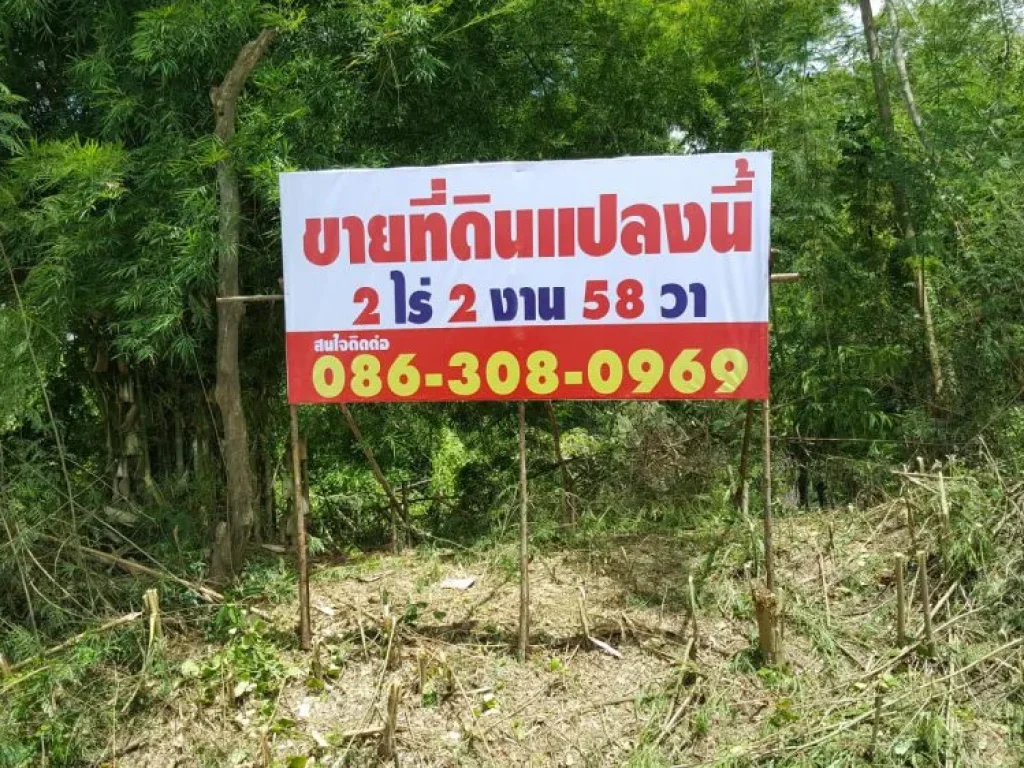 ที่ดิน ซวัดไพร่ฟ้า ตรงข้าม อบตบางเดื่อ ปทุมธานี