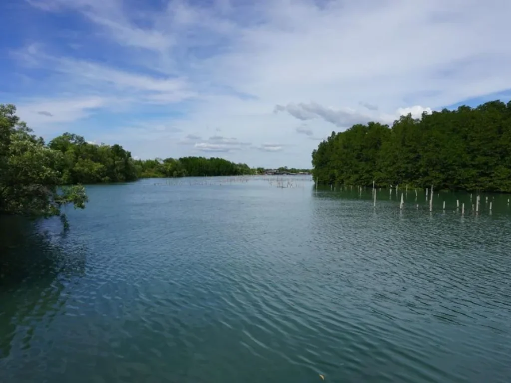 ที่ดินสวยอย่างนี้ไม่มีอีกแล้ว ด้านหน้าติดแม่น้ำ ยาว 500 เมตร แม่น้ำกว้าง วิวภูเขา ธรรมชาติสวยงามมาก