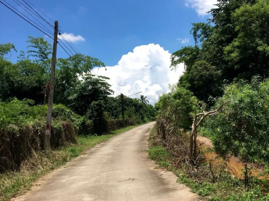 ขายที่ดินเหมาะจัดสรร ถนนคันคลองชลประทาน