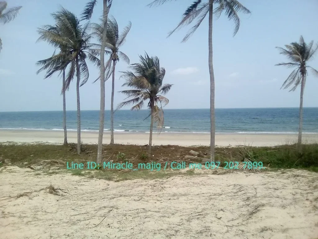 ที่ดินชายหาดทรายขาว