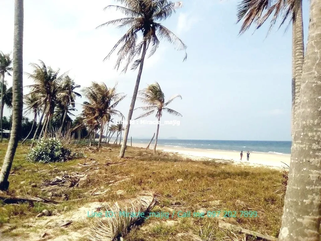 ที่ดินชายหาดทรายขาว