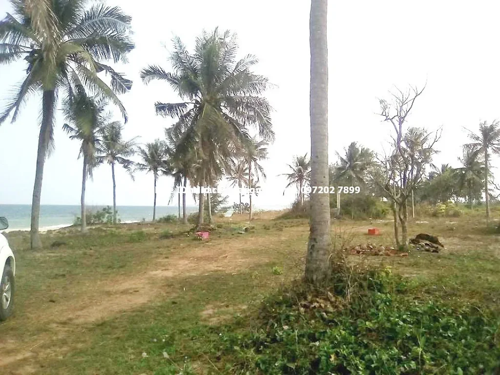 ที่ดินชายหาดทรายขาว