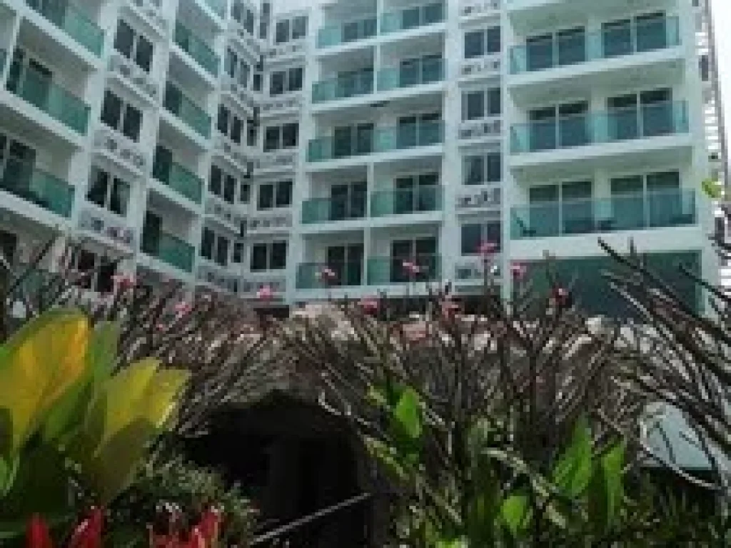 ขายคอนโด อเมซอน เรสซิเด้นซ์ Amazon Residence Jomtien Pattaya ห้องวิวสวย