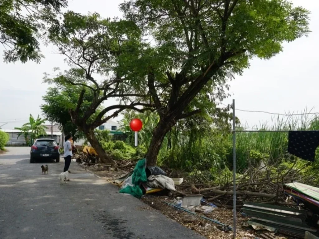 ที่ดินเปล่า แขวงคลองสอง เขตคลองหลวง ปทุมธานี 100 ตรว