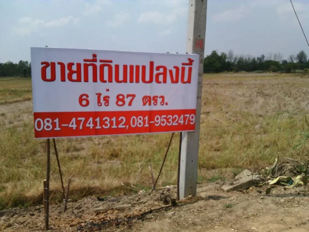 ขายที่ดิน 6 ไร่ 87 ตรว บ้านหนองพยอม ตชุมแสงสงคราม อบางระกำ จพิษณุโลก