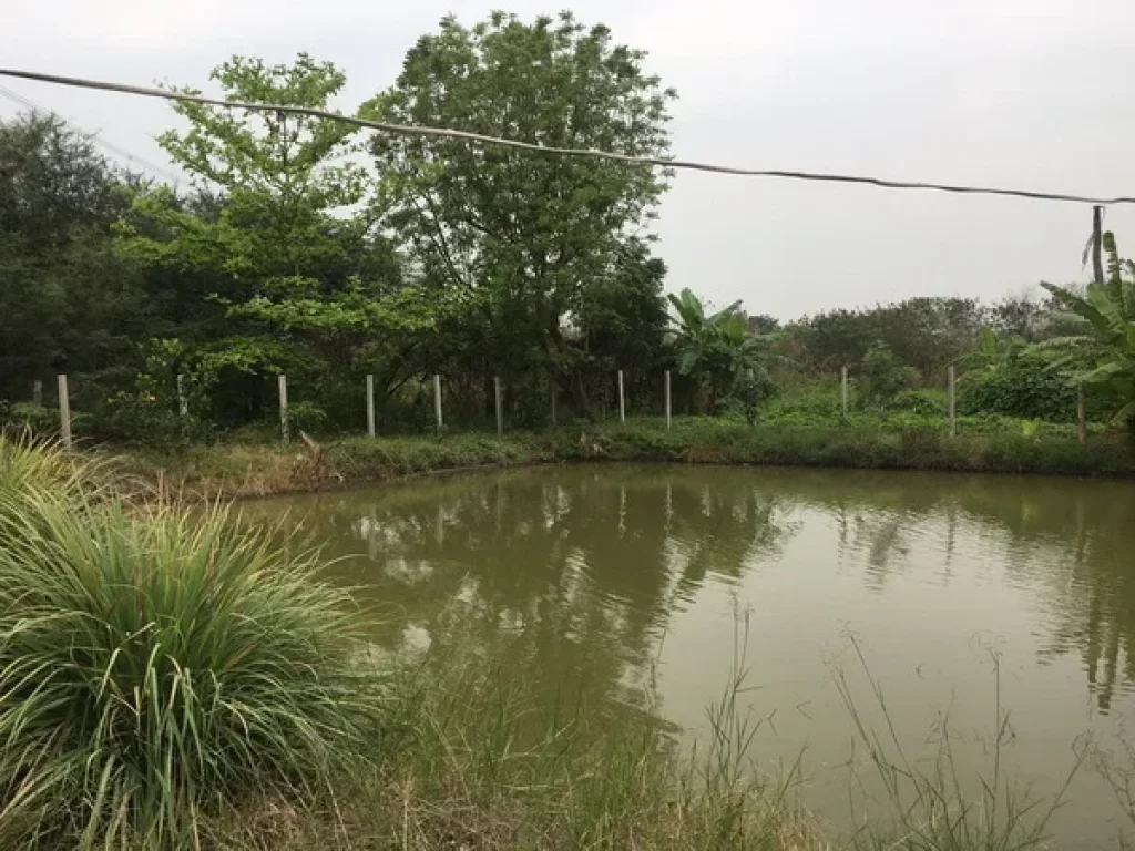 บ้านเดี่ยว ไทรน้อย ถนนกาญจนาภิเษก อไทรน้อย จนนทบุรี