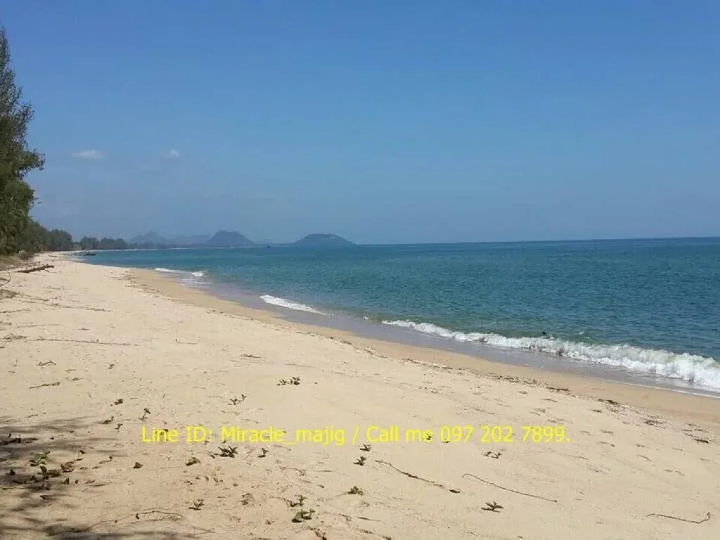 ที่ดินติดหน้าชายหาดหลังติดคลองน้ำกร่อย