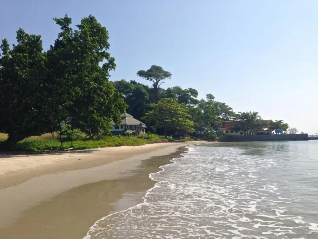 ขายบ้านติดทะเล ชายหาดแหลมแม่พิมพ์ อแกลง จ ระยอง Beach Front house for sale in Cape Mae Phim Rayong