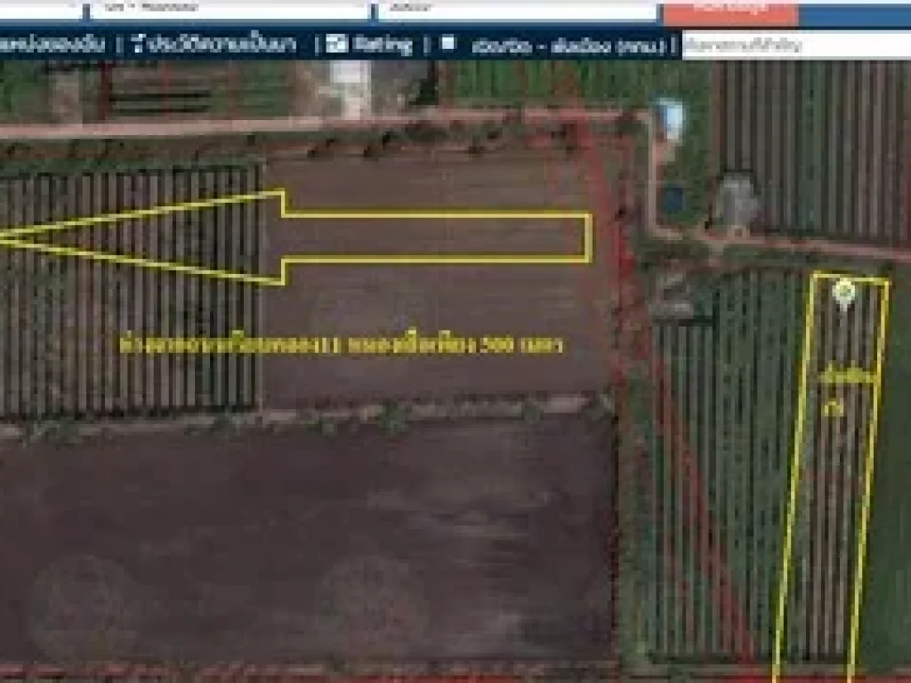 ขายที่ดิน คลอง 11 หนองเสือ 5 ไร่ ใกล้ ถนนลาดยาง เรียบคลอง11 หนองเสือ ทำดี เหมาะเกร็งกำไรในอนาคต