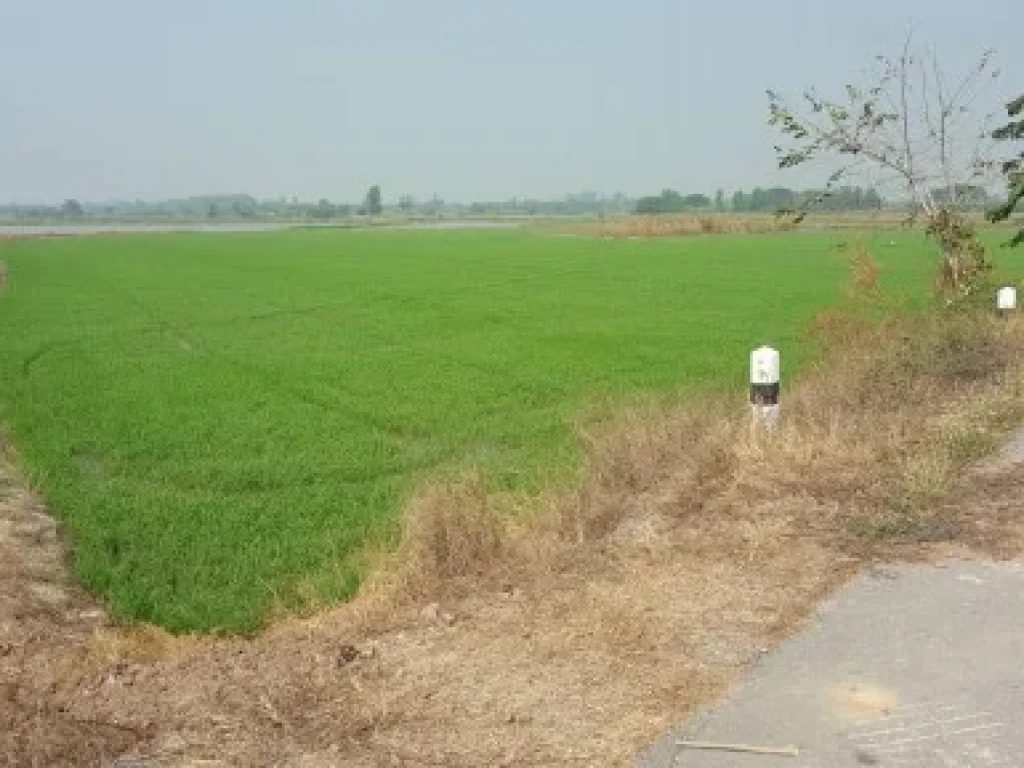 ขายที่ดินด่วน 14ไร่เศษ ใกล้อุทยานสวรรค์หนองเจ็ดเส้นใกล้อุทยานหลวงปู่ทวด ใกล้ถนนสายเอเซีย