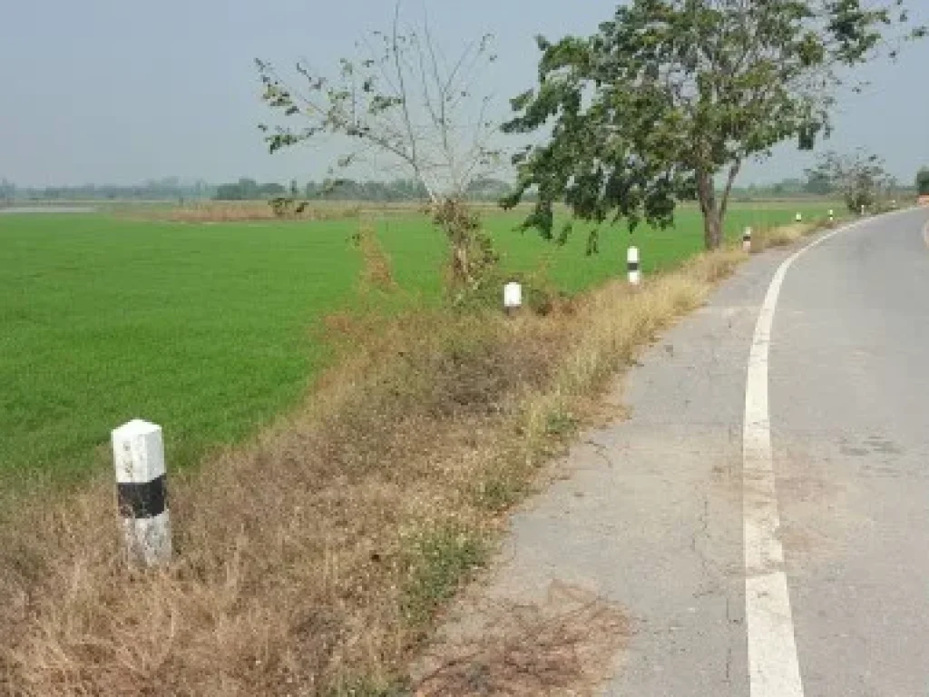 ขายที่ดินด่วน 14ไร่เศษ ใกล้อุทยานสวรรค์หนองเจ็ดเส้นใกล้อุทยานหลวงปู่ทวด ใกล้ถนนสายเอเซีย