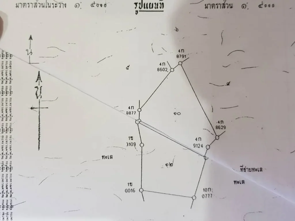 ขายที่ดิน เกาะหมาก เขตุแหลมกระดุม บริเวณ แหลมสน จ ตราด 21 ไร่ ไร่ละ 5 3 ล้านบาท