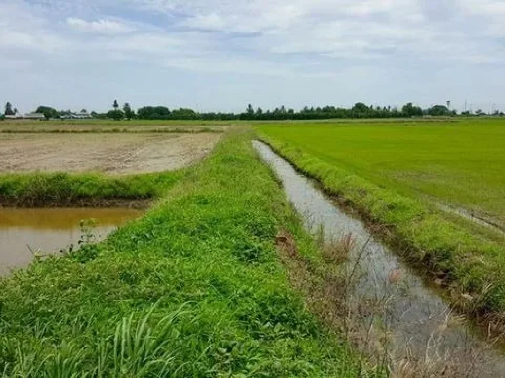 ขายที่ดิน น้ำดี เมืองสุพรรณฯ