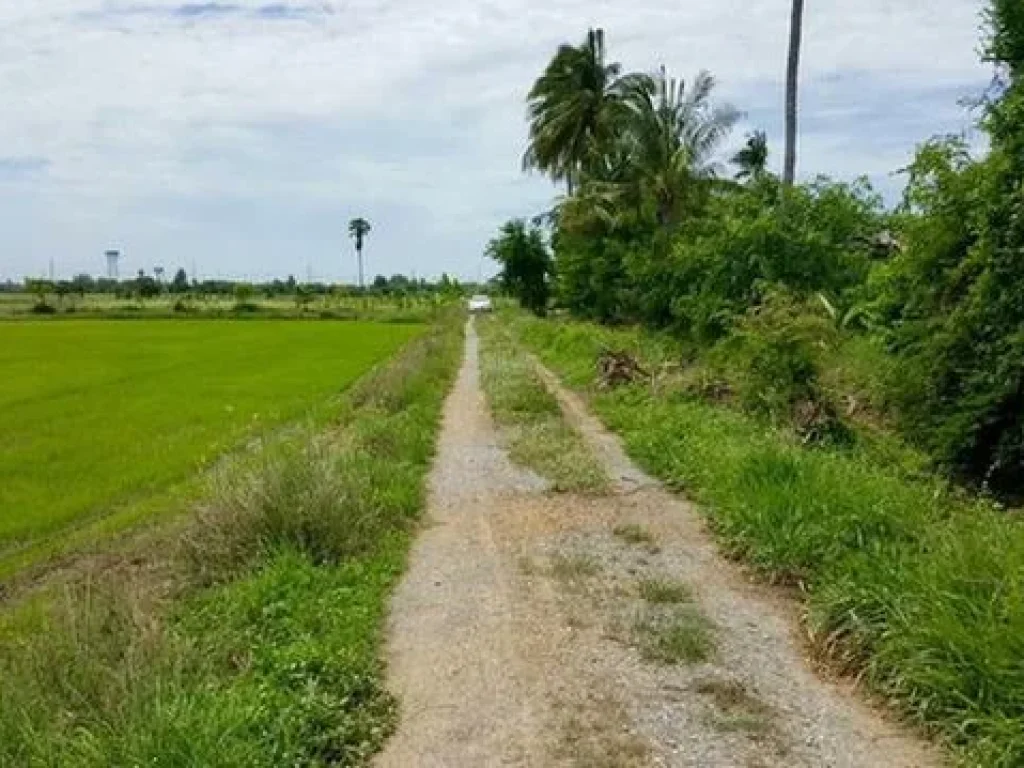 ขายที่ดิน น้ำดี เมืองสุพรรณฯ