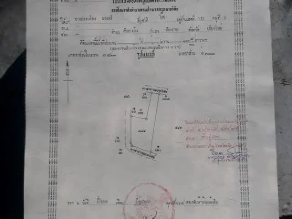 ที่ดิน เชียงใหม่ ดอยสะเก็ด 219 ตารางวา