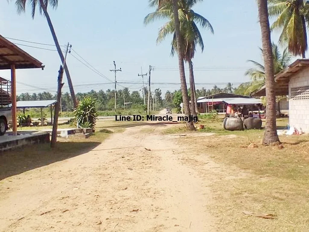 ขายที่ดินติดชายทะเลติดถนนดำ