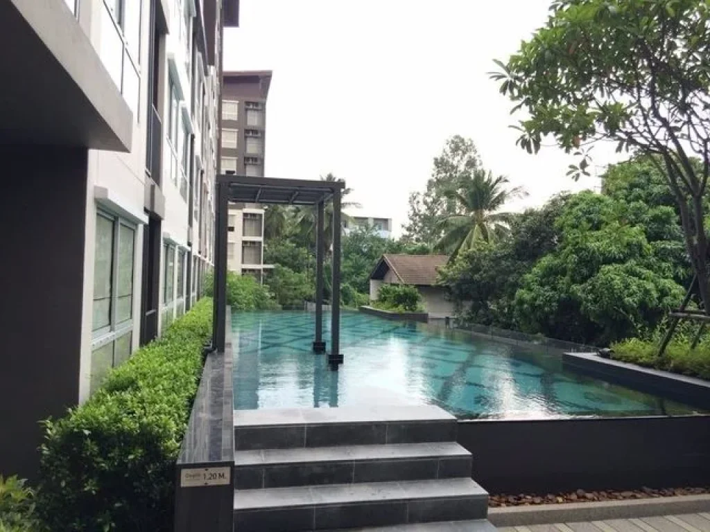 ให้เช่า คอนโดพลัมบางแค พุทธมณฑลสาย2 30ตรม พร้อมเฟอร์ ห้องสวยใหม่ 7500 บาท