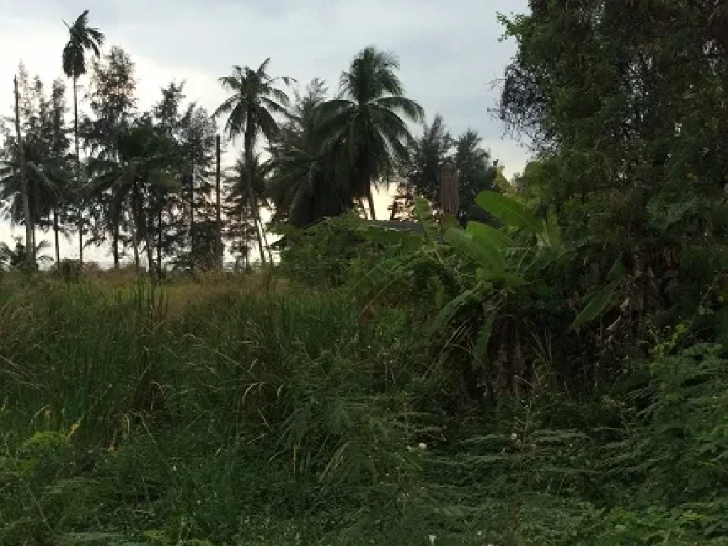 ที่ดินติดทะเล แหลมสิงห์ 2 ไร่กว่า หาดแหลมสิงห์ จันทบุรี