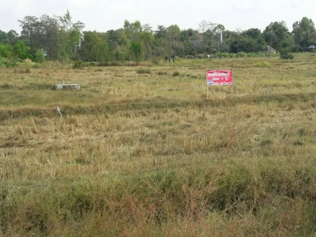 ขายที่ดิน ใกล้แยกไฟแดง บ้านคอโค อำเภอเมื่อง จังหวัดสุรินทร์