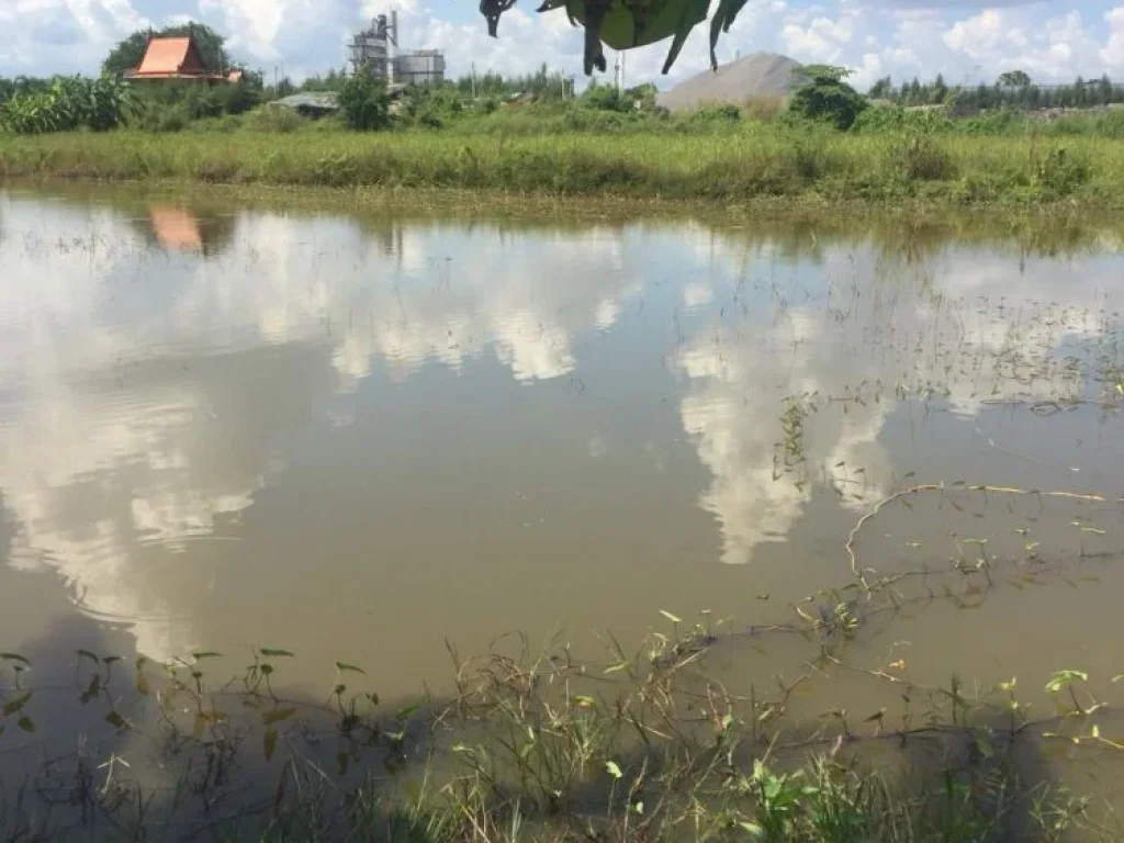 ขาย ที่ดิน จังหวัดอยุธยา ทำเลดี การเดินทางสะดวก