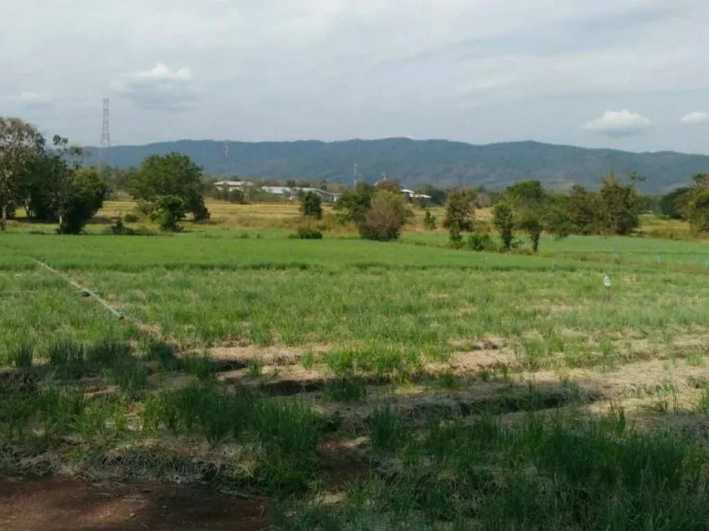 ขายที่ดิน3ไร่38ตรว วิวภูเขาใกล้วัดพระแท่นฯ เหมาะกับทำที่พักอาศัย