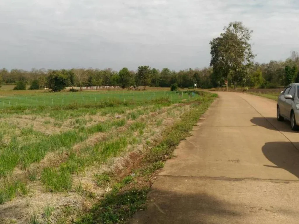 ขายที่ดิน3ไร่38ตรว วิวภูเขาใกล้วัดพระแท่นฯ เหมาะกับทำที่พักอาศัย