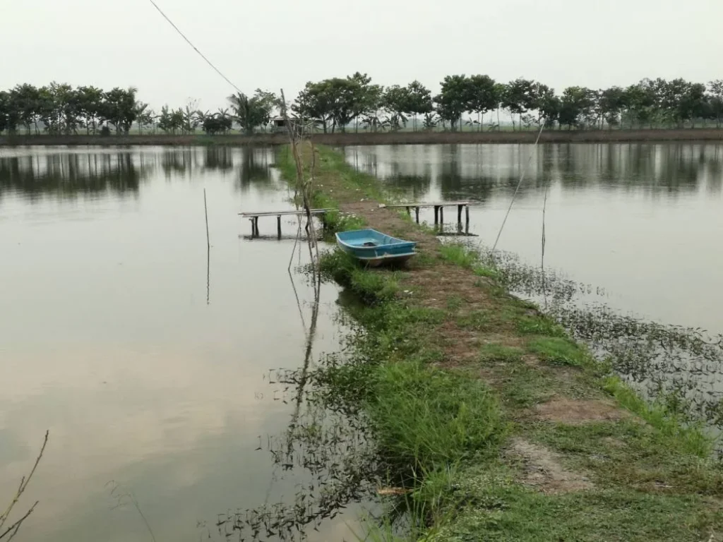 ขายที่ดิน 22 ไร่ 75 ตรวพร้อมบ้าน 2 ชั้น อบางซ้าย จพระนครศรีอยุธยา