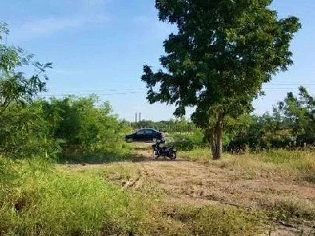 ขายที่ดิน ติดถนนถมแล้ว ศรีประจันต์