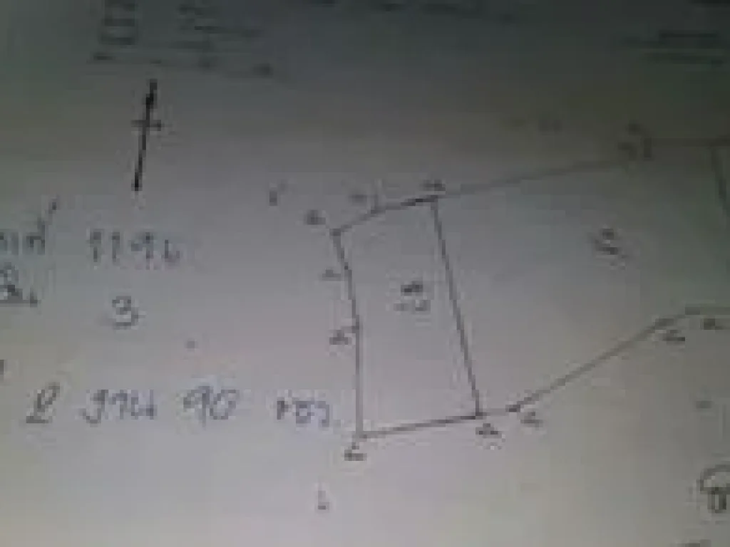 ขายเหมายกแปลง 7 ล้านบาท อบ้านแพ้ว สมุทรสาคร