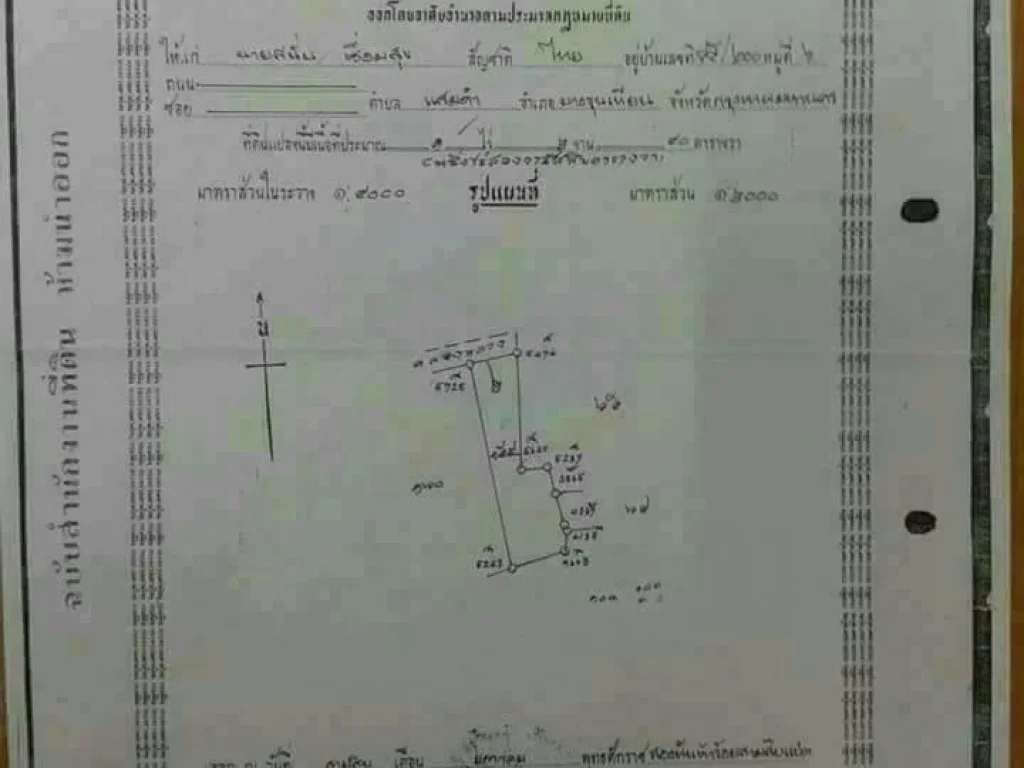 ขายเหมายกแปลง 7 ล้านบาท อบ้านแพ้ว สมุทรสาคร